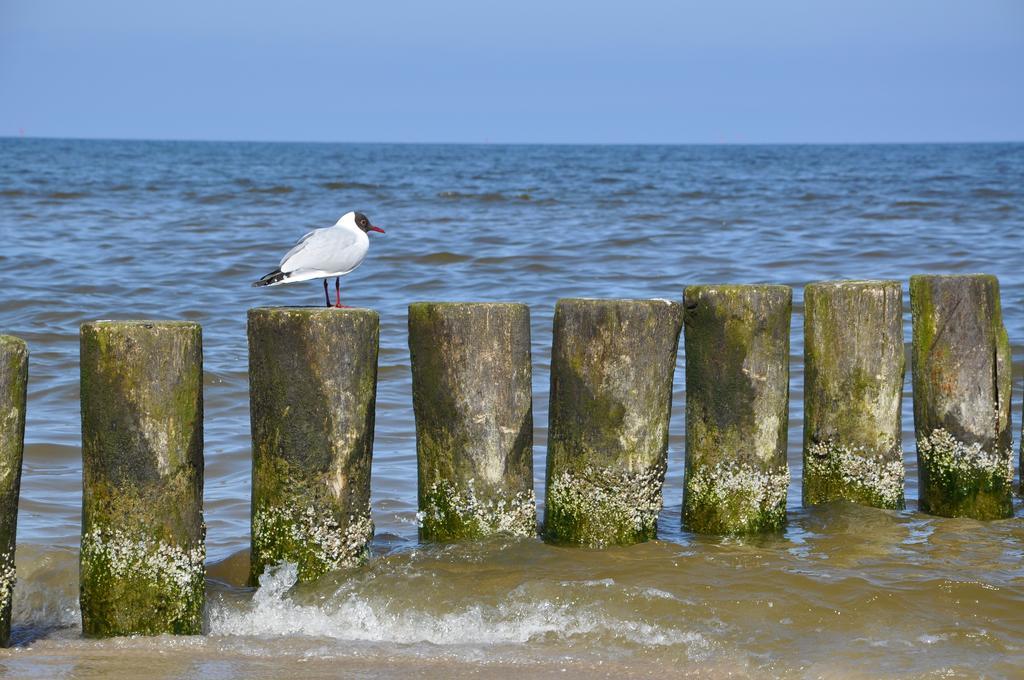 Seetelhotel Nautic Usedom Hotel & Spa Koserow Exterior foto